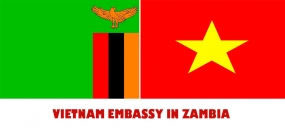 Embassy of Vietnam in Zambia