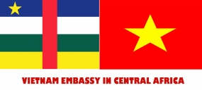 Embassy of Vietnam in Central Africa