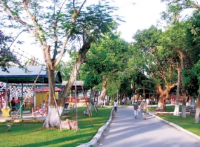 29 March  Park in Danang city