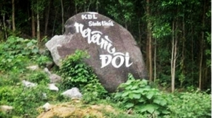 Ngam Doi eco-tourism zone in Danang city