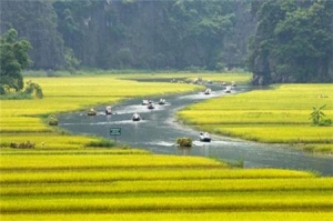 Ngo Dong river - the beauty of nature  (Ninh Binh)