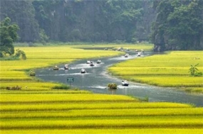 Ngo Dong river - the beauty of nature  (Ninh Binh)