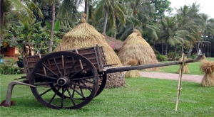 Binh Quoi Tourist Village in Ho Chi Minh city