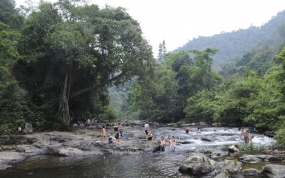 Khe Ro Primitive Forest in Bac Giang